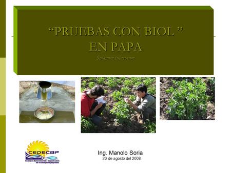 “PRUEBAS CON BIOL ” EN PAPA Solanum tuberosum Ing. Manolo Soria 20 de agosto del 2008.