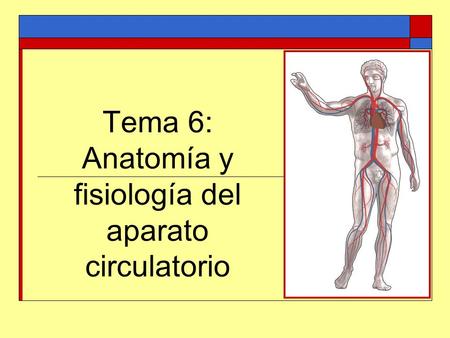 Tema 6: Anatomía y fisiología del aparato circulatorio