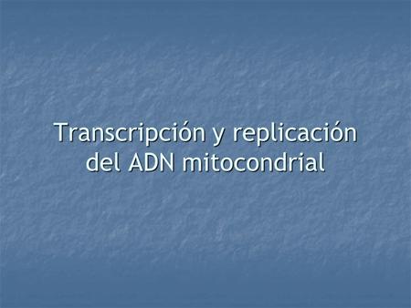 Transcripción y replicación del ADN mitocondrial