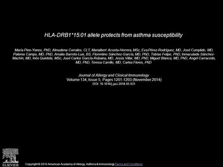 HLA-DRB1*15:01 allele protects from asthma susceptibility María Pino-Yanes, PhD, Almudena Corrales, CLT, Marialbert Acosta-Herrera, MSc, Eva Pérez-Rodríguez,
