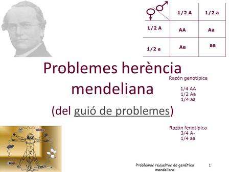 1 Dr. Antonio Barbadilla 1 AAAa aa 1/2 A1/2 a 1/2 A 1/2 a Razón fenotípica 3/4 A- 1/4 aa Razón genotípica 1/4 AA 1/2 Aa 1/4 aa Problemes herència mendeliana.