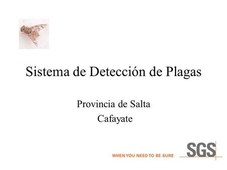 Sistema de Detección de Plagas Provincia de Salta Cafayate.