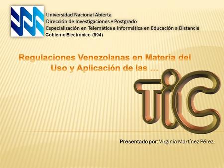 Gobierno Electrónico (894) Presentado por: Virginia Martínez Pérez.