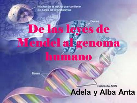 De las leyes de Mendel al genoma humano