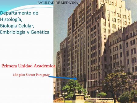 Departamento de Histología, Biología Celular, Embriología y Genética 2do piso Sector Paraguay FACULTAD DE MEDICINA Primera Unidad Académica.