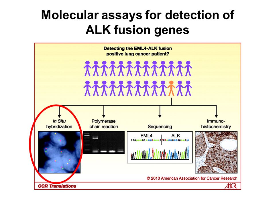 Cancer genes from hirsch