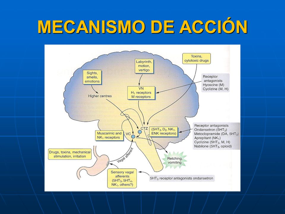 Farmacología del sistema gastrointestinal - ppt video Farmacología del sistema gastrointestinal - ppt video