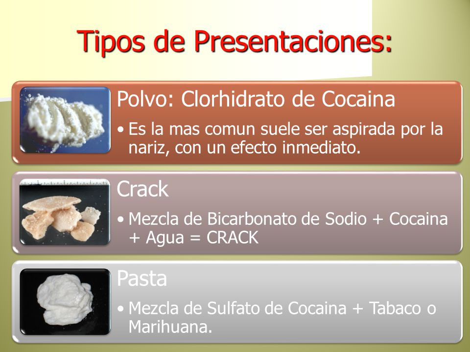 Programa Municipal de Juventud - ppt descargar Programa Municipal de Juventud - ppt descargar