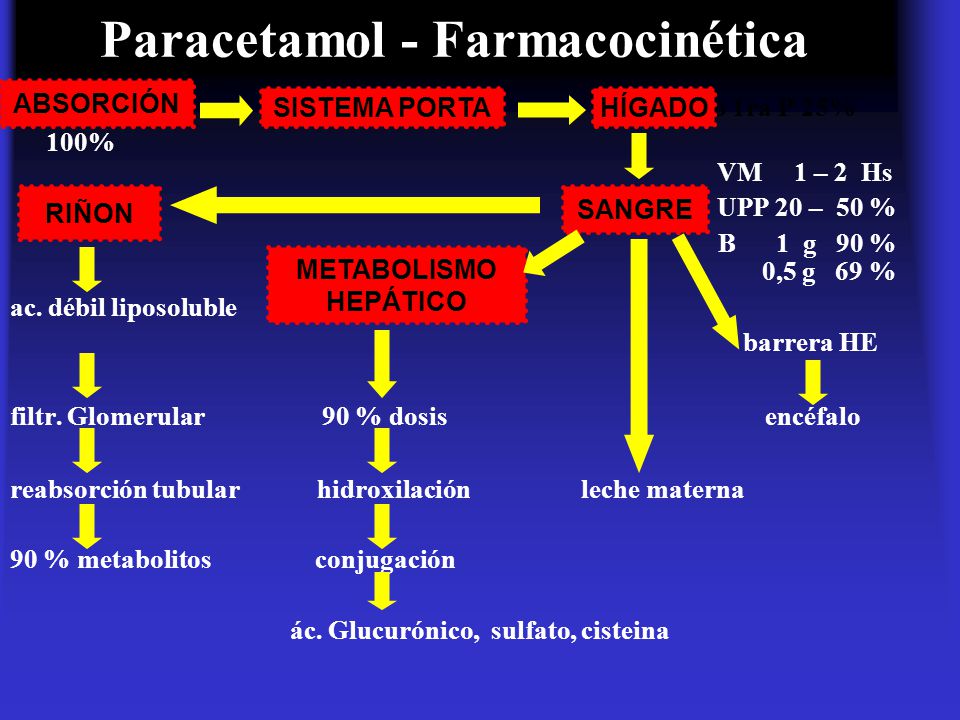 TRATAMIENTO DE LA GRIPE - ppt video online descargar TRATAMIENTO DE LA GRIPE - ppt video online descargar