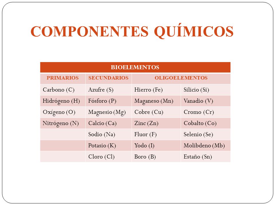METABOLISMO DE LOS MINERALES - ppt descargar METABOLISMO DE LOS MINERALES - ppt descargar