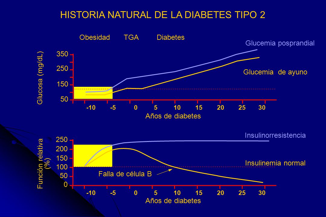 Dr . Félix M. Escaño Polanco Endocrinólogo Coordinador Dr . Félix M. Escaño Polanco Endocrinólogo Coordinador