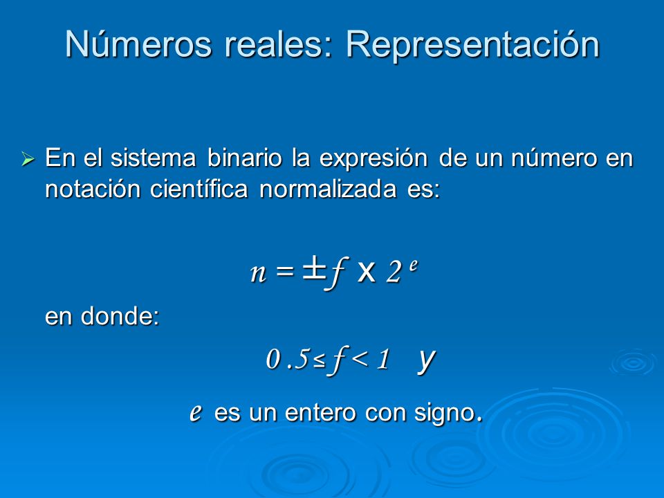 Numeros fibonacci forex