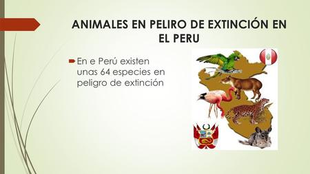ANIMALES EN PELIRO DE EXTINCIÓN EN EL PERU