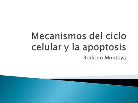 Rodrigo Montoya.  Mecanismos del ciclo celular y la apoptosis implicados en las resistencias a los fármacos de uso intravesical en el cáncer superficial.