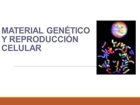 MATERIAL GENÉTICO Y REPRODUCCIÓN CELULAR. 5 Célula procarionte Célula eucarionte.