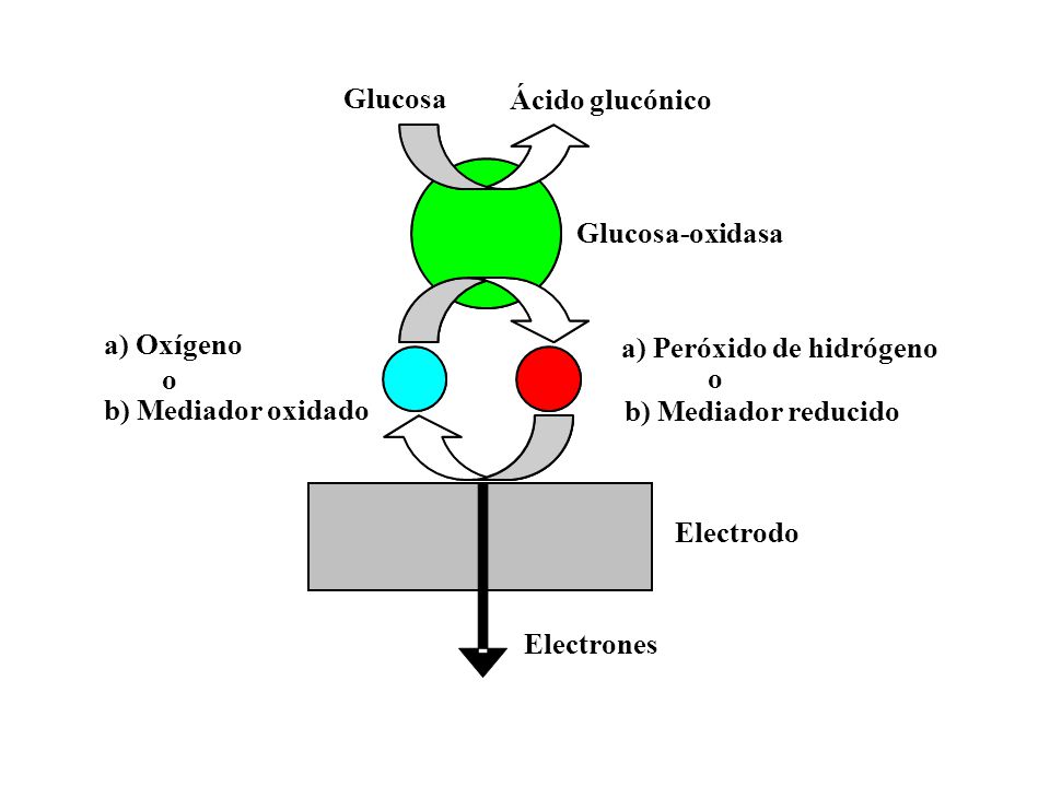 BIOSENSORES PARA DETERMINACIONES ANALÍTICAS - ppt video BIOSENSORES PARA DETERMINACIONES ANALÍTICAS - ppt video