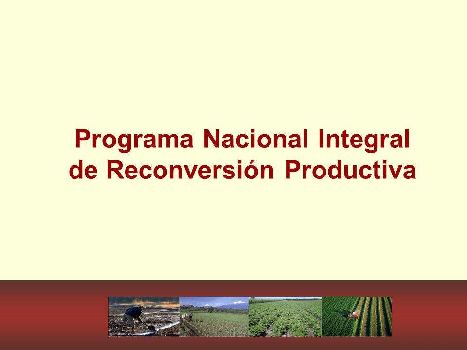 Programa Federal De Reconversion Productiva