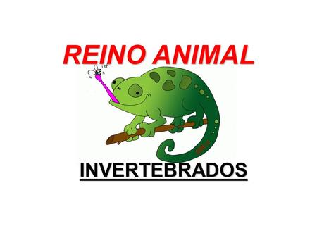 REINO ANIMAL INVERTEBRADOS.
