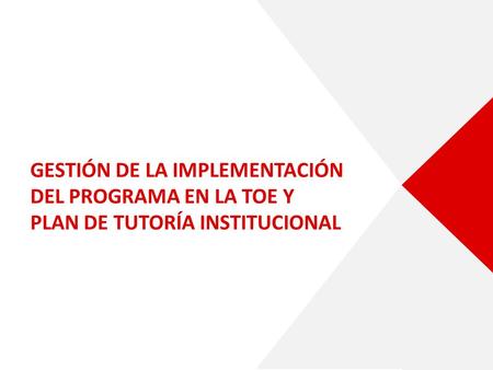 GESTIÓN DE LA IMPLEMENTACIÓN DEL PROGRAMA EN LA TOE Y PLAN DE TUTORÍA INSTITUCIONAL.