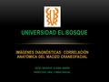UNIVERSIDAD EL BOSQUE IMÁGENES DIAGNÓSTICAS: CORRELACIÓN ANATÓMICA DEL MACIZO CRANEOFACIAL DIEGO MAURICIO ALDANA BARÓN RADIÓLOGO ORAL Y MAXILOFACIAL.