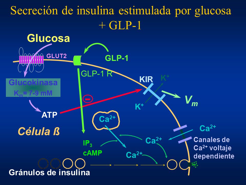 Dr. Félix Miguel Puchulu - ppt descargar Dr. Félix Miguel Puchulu - ppt descargar