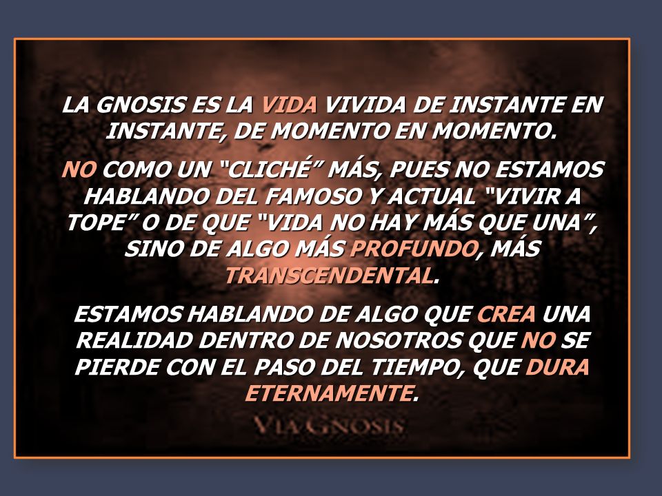 read napoleon