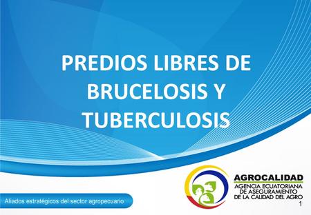 PREDIOS LIBRES DE BRUCELOSIS Y TUBERCULOSIS