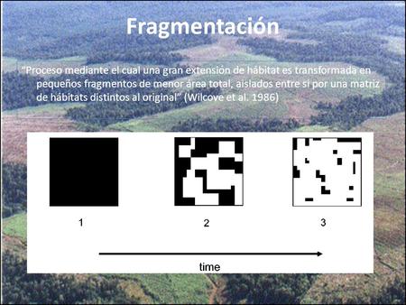 Fragmentación “Proceso mediante el cual una gran extensión de hábitat es transformada en pequeños fragmentos de menor área total, aislados entre si por.