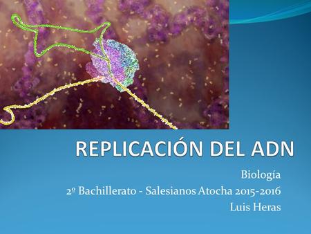 Biología 2º Bachillerato - Salesianos Atocha Luis Heras