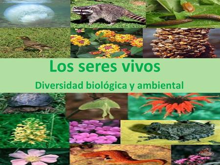 Diversidad biológica y ambiental