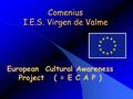Comenius I.E.S. Virgen de Valme European Cultural Awareness Project ( = E C A P )