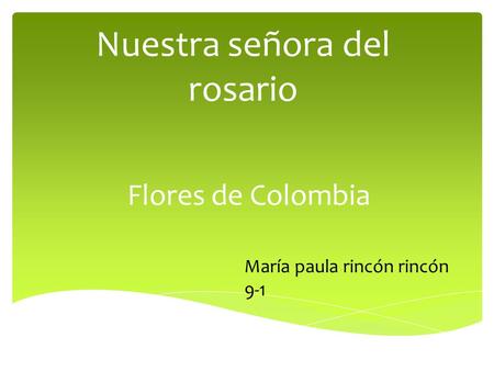 Nuestra señora del rosario Flores de Colombia María paula rincón rincón 9-1.