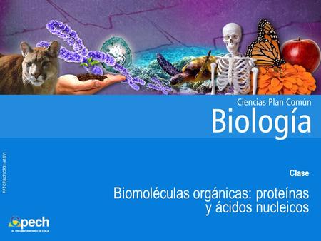 Biomoléculas orgánicas: proteínas y ácidos nucleicos
