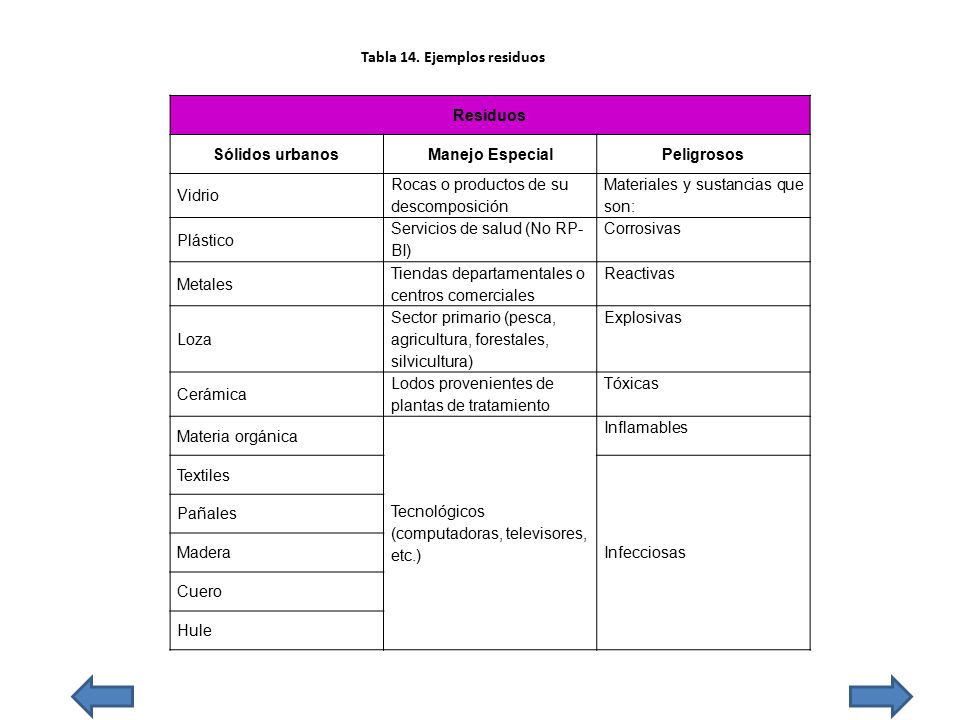 Grzegorz zalewski forex