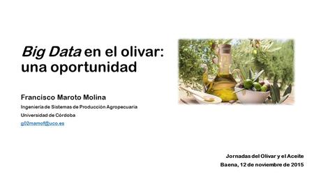 Big Data en el olivar: una oportunidad Francisco Maroto Molina Ingeniería de Sistemas de Producción Agropecuaria Universidad de Córdoba