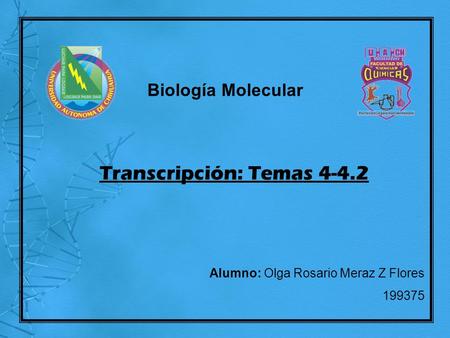 Biología Molecular Alumno: Olga Rosario Meraz Z Flores 199375 Transcripción: Temas 4-4.2.