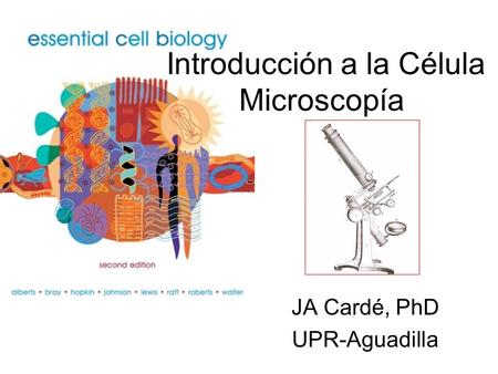 Introducción a la Célula Microscopía JA Cardé, PhD UPR-Aguadilla.