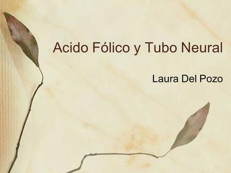 Acido Fólico y Tubo Neural