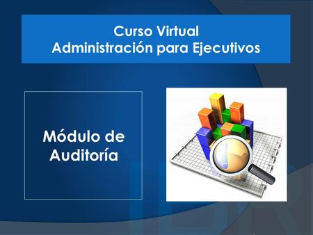 Módulo de Auditoría Curso Virtual Administración para Ejecutivos.