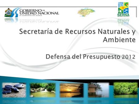 Impulsar el desarrollo sostenible de Honduras, mediante la formulación, coordinación, ejecución y evaluación de políticas concernientes a los recursos.