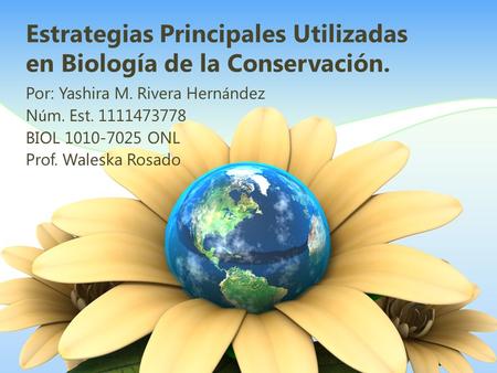 Estrategias Principales Utilizadas en Biología de la Conservación.