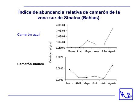 Índice de abundancia relativa de camarón de la zona sur de Sinaloa (Bahías). Camarón azul Camarón blanco.
