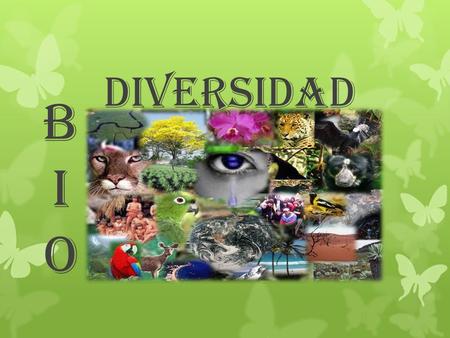 Diversidad Bio.