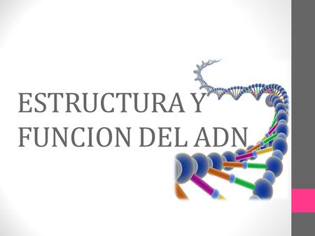ESTRUCTURA Y FUNCION DEL ADN
