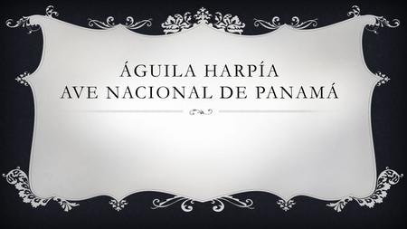 Águila Harpía Ave Nacional de Panamá