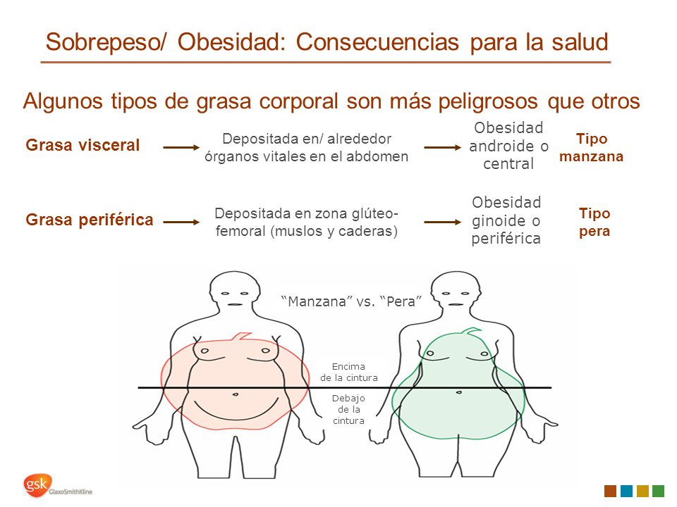 bajar grasa abdomen rapido bajar grasa abdomen rapido