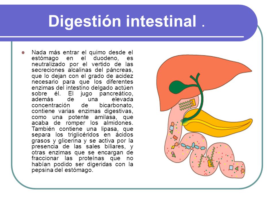 pancreas digestion and case presentation george Case presentation george hendrix is a 38-year-old man who has abused alcohol his entire adult life recently, following an episode of binge drinking,. pancreas digestion and case presentation george Case presentation george hendrix is a 38-year-old man who has abused alcohol his entire adult life recently, following an episode of binge drinking,.