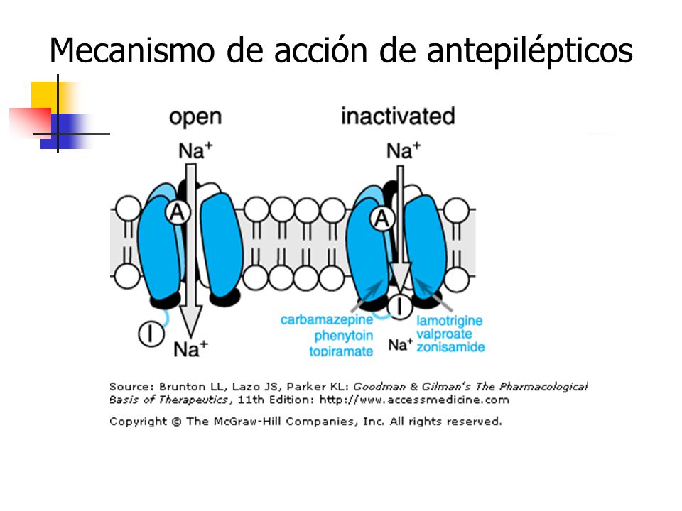 Fármacos anticonvulsivantes - ppt descargar Fármacos anticonvulsivantes - ppt descargar