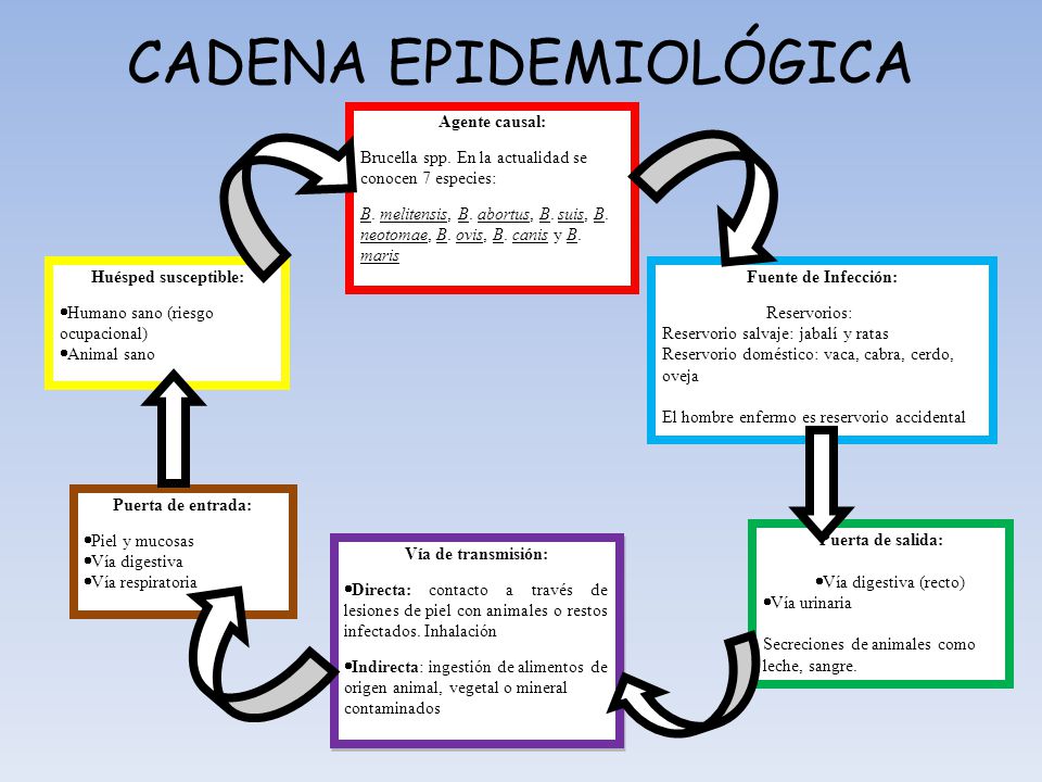 cadena epidemiologica triada ecologica triada ecologica ebook download cadena epidemiologica triada ecologica triada ecologica ebook download