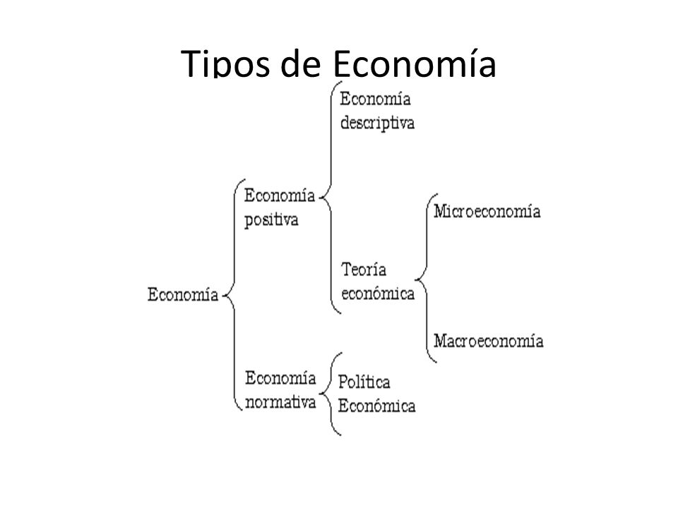 La Economía La etimología de la economía. El origen La Economía La etimología de la economía. El origen